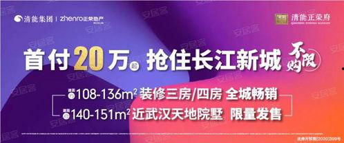 武汉黄田新闻头条,突发事故引发关注，紧急救援行动展开