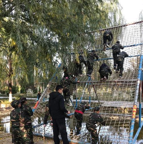 网红室外萌宠乐园在哪里,探寻城市中的动物乐园宝藏之旅”