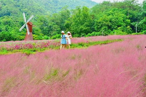 德庆盘龙峡网红打卡景点,探寻广东隐秘仙境的网红打卡胜地