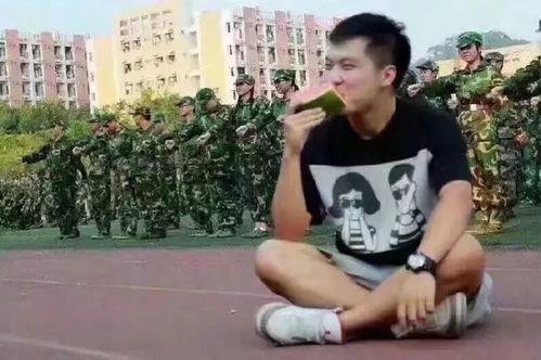 张琳吃瓜群众,吃瓜群众的美食探索之旅