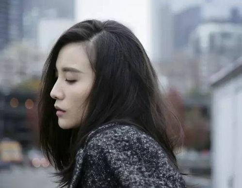 有路的明星,有路明星的璀璨人生