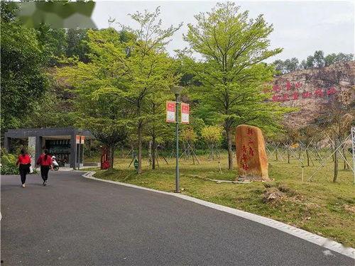 公园网红打卡点布置,打造城市绿意新地标