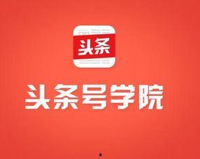 头条号网站,揭秘新媒体时代的传播利器