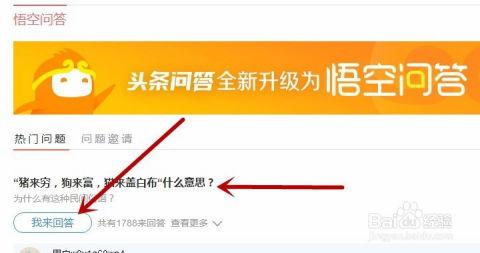 怎么利用头条做悟空问答,高效生成悟空问答优质内容