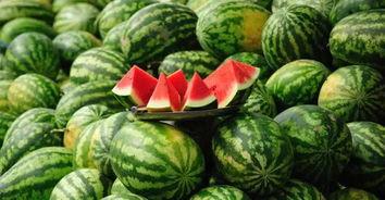 河北化工医药吃瓜,揭秘背后的热点与争议