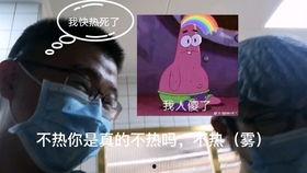 微博网红小王同学视频,揭秘网红日常