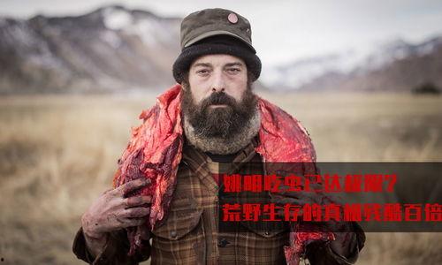 明星野外生存综艺节目,明星挑战极限，揭秘野外生存秘籍