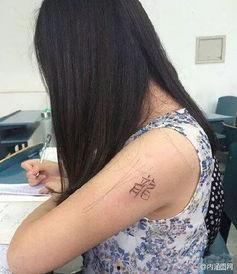 深圳今日头条龙妹,龙妹带你探秘这座创新之城！”