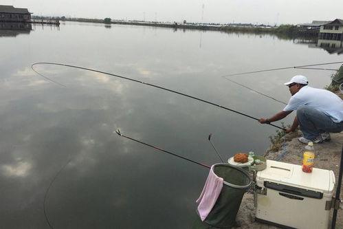 钓料怎么看漂,揭秘钓料与漂相之间的奥秘