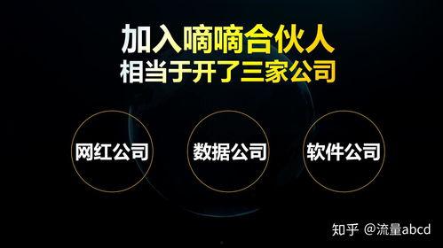网红纯佣金,揭秘网红背后的盈利秘密