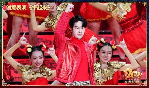 大门春晚明星,春晚明星闪耀大门之夜