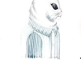 吃瓜的小狼君,网络红人的崛起之路