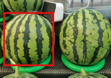 从充电口看吃瓜,揭秘充电与娱乐的奇妙融合