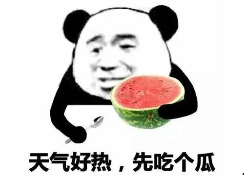 吃瓜表情包高清